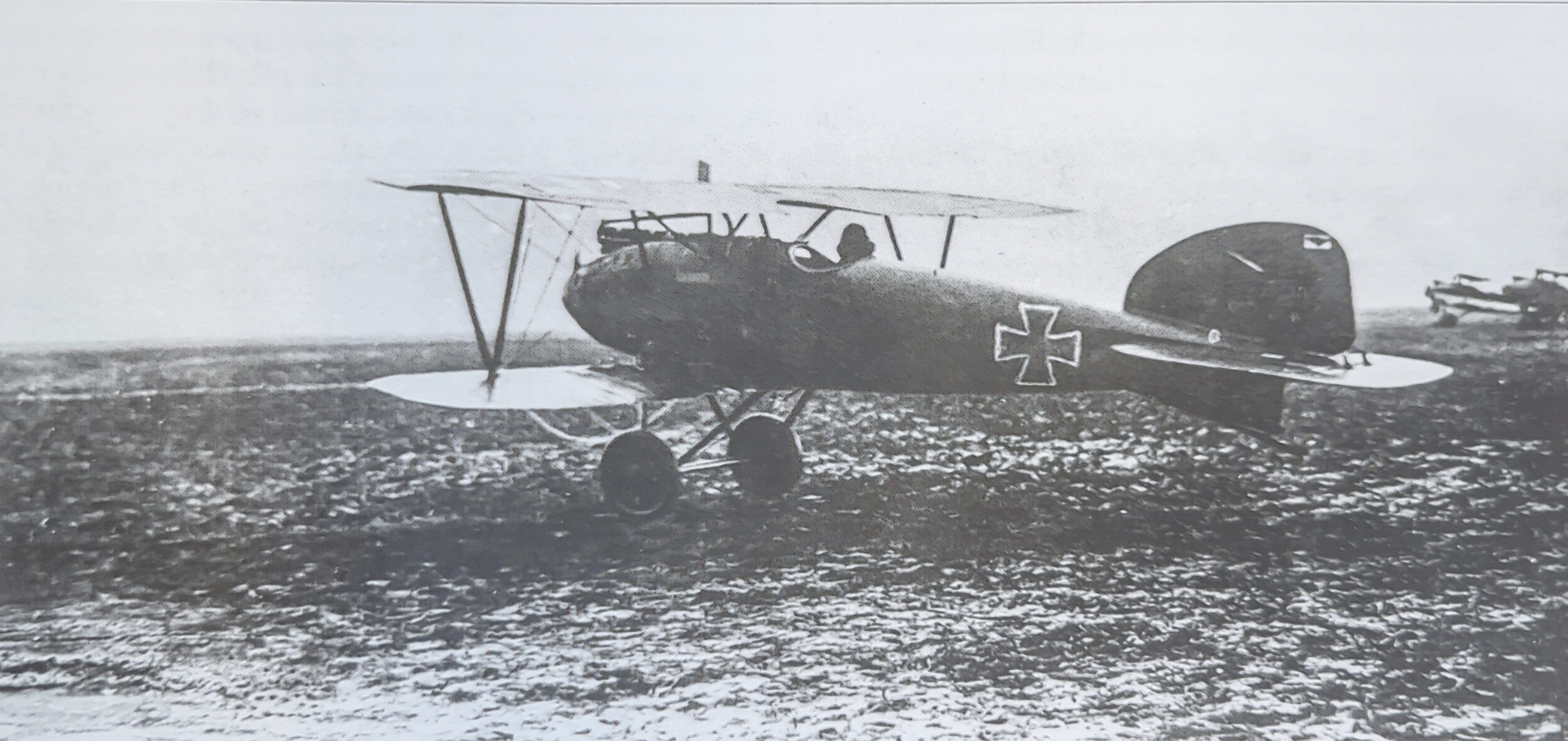 Albatros D.III