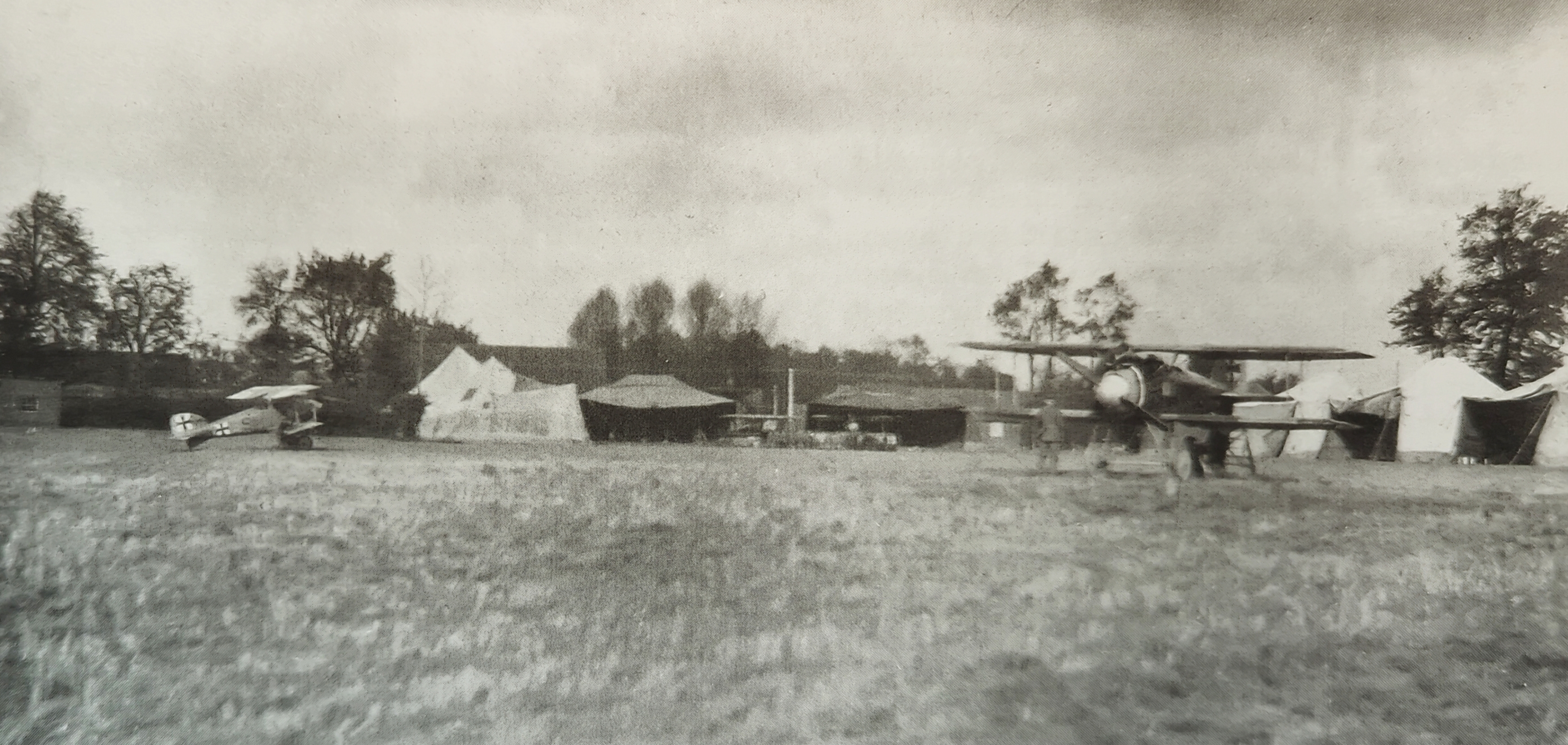 Albatros D.II