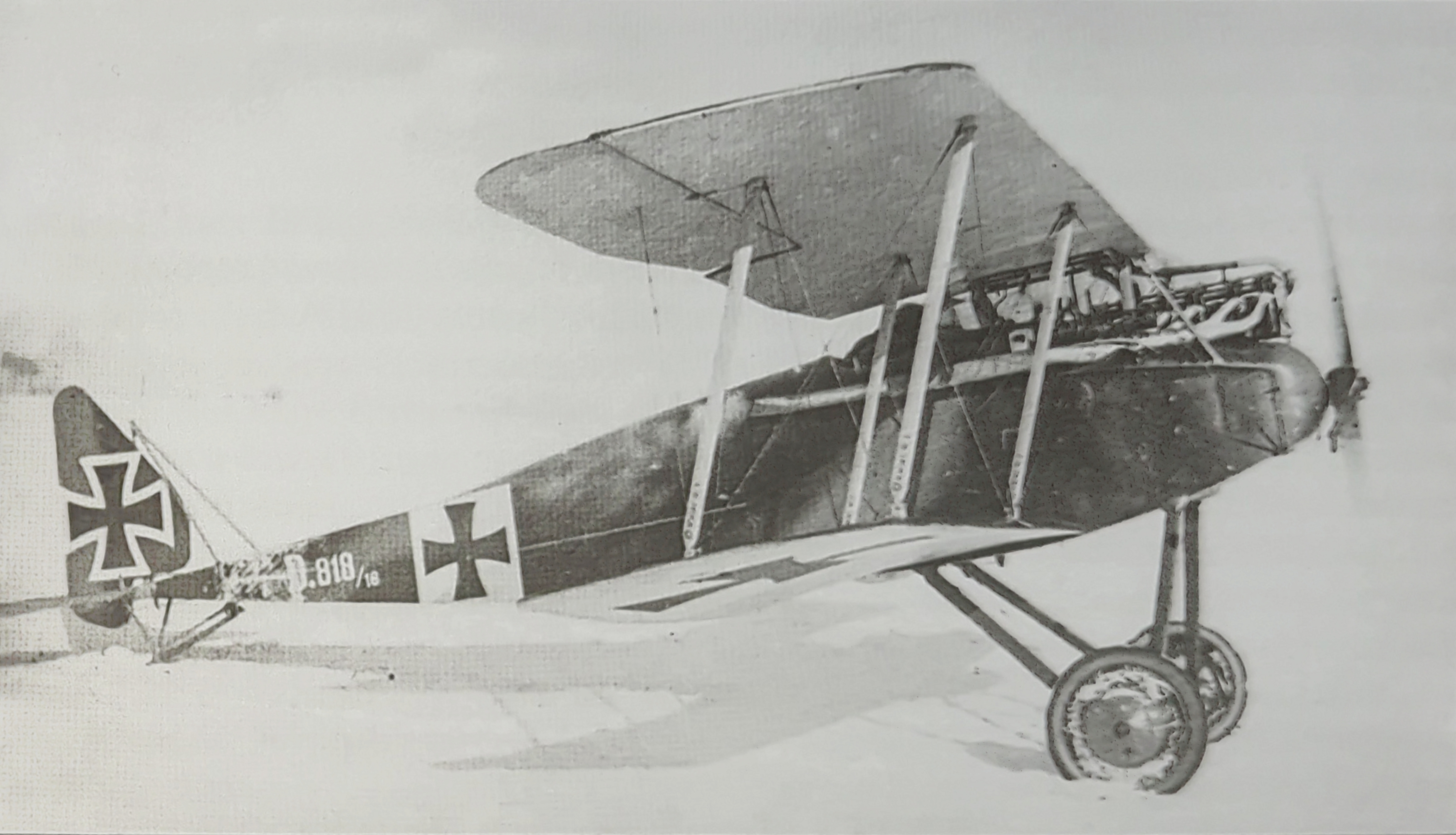 Halberstadt D.II
