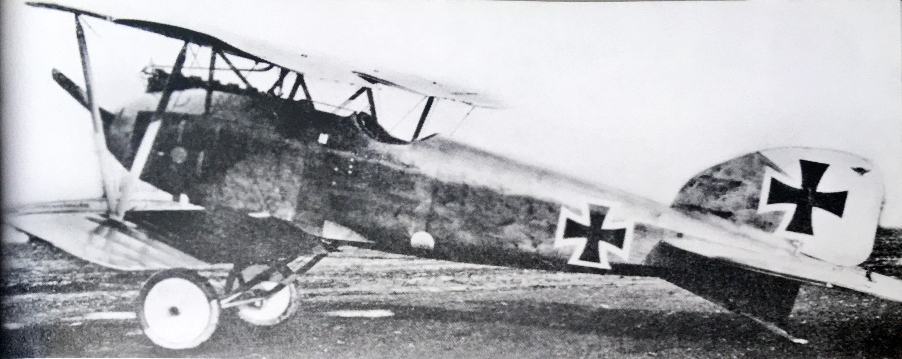Albatros D.III