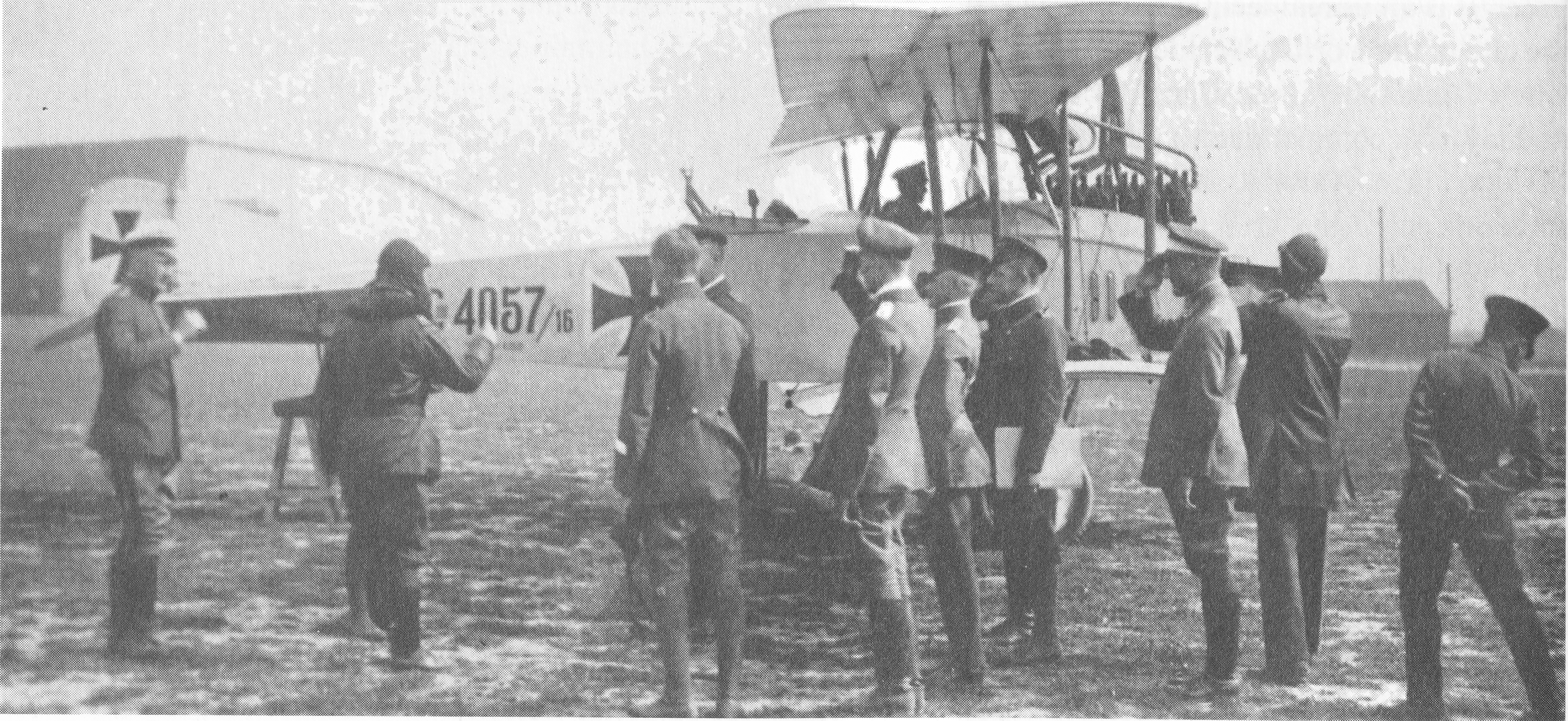 Halberstadt D.II