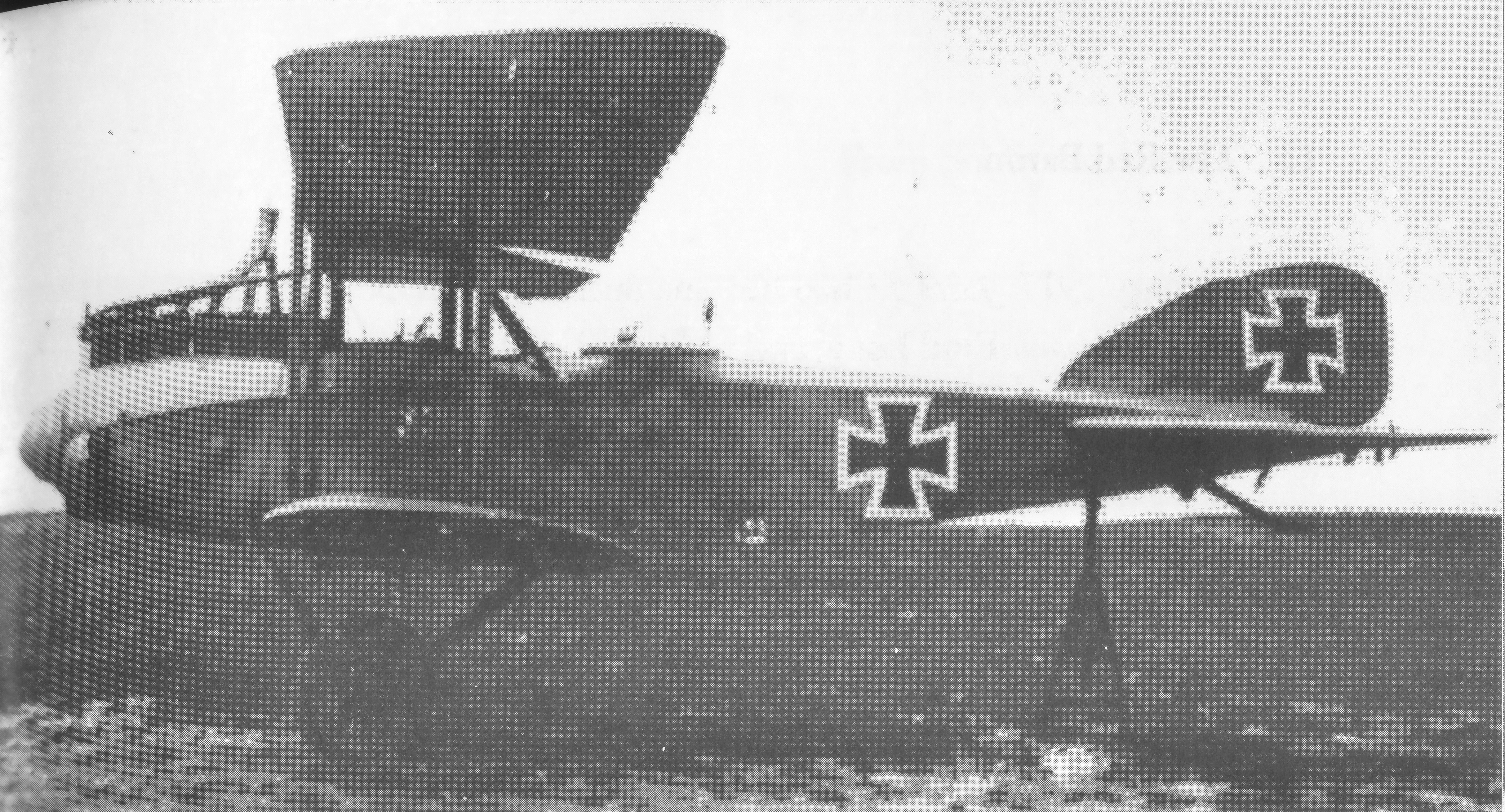 Albatros C.III