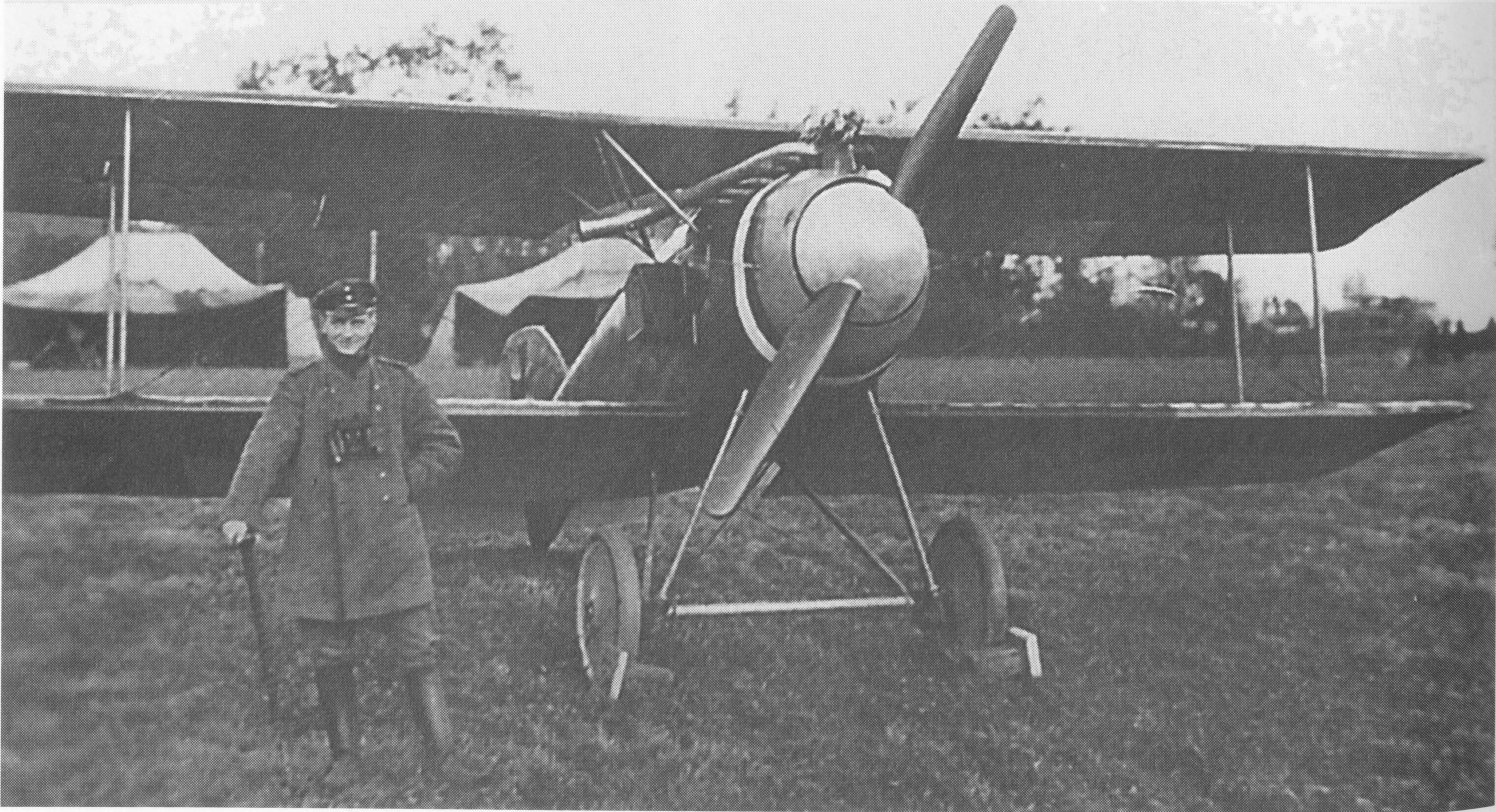 Albatros D.II