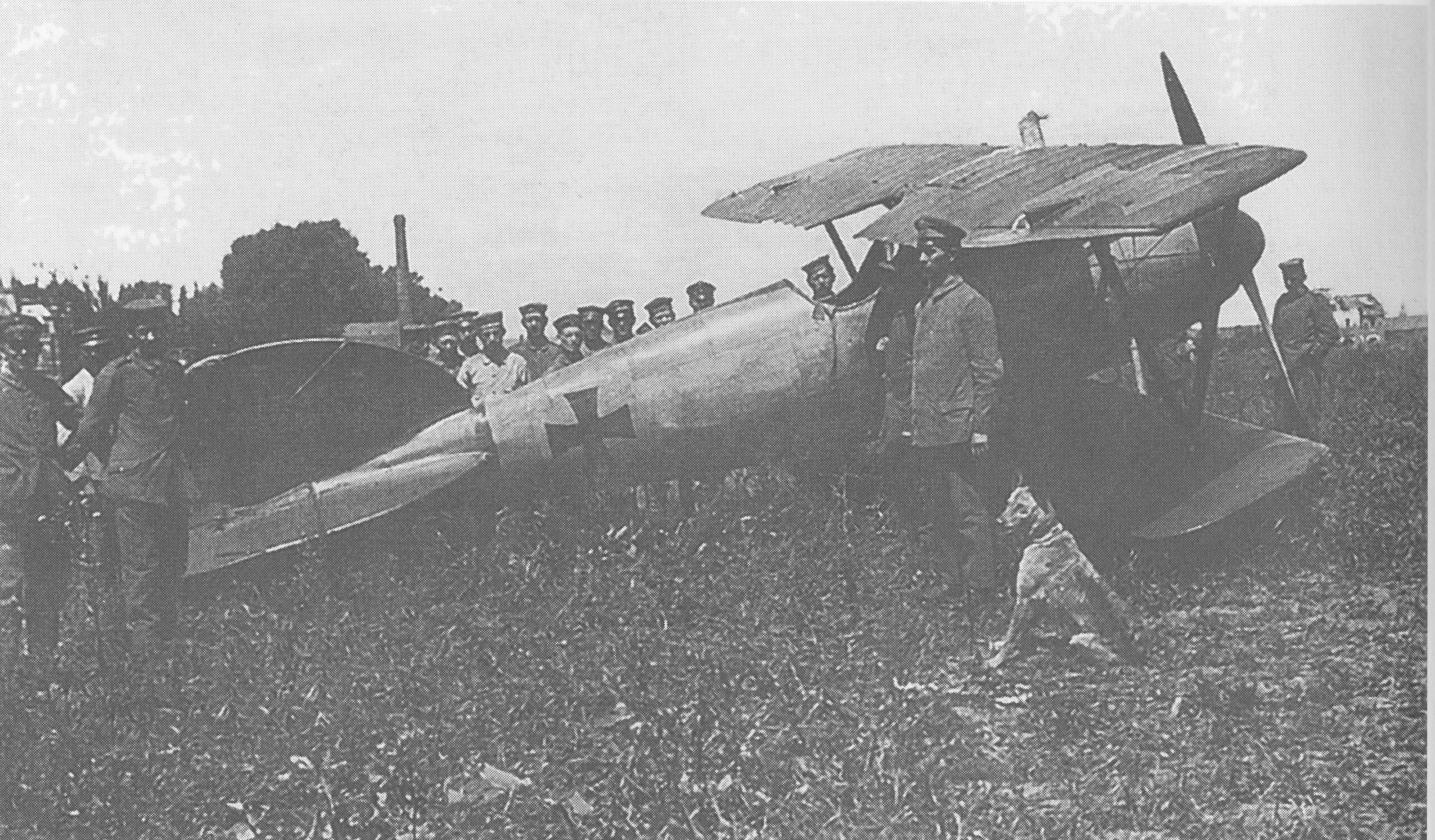 Albatros D.V