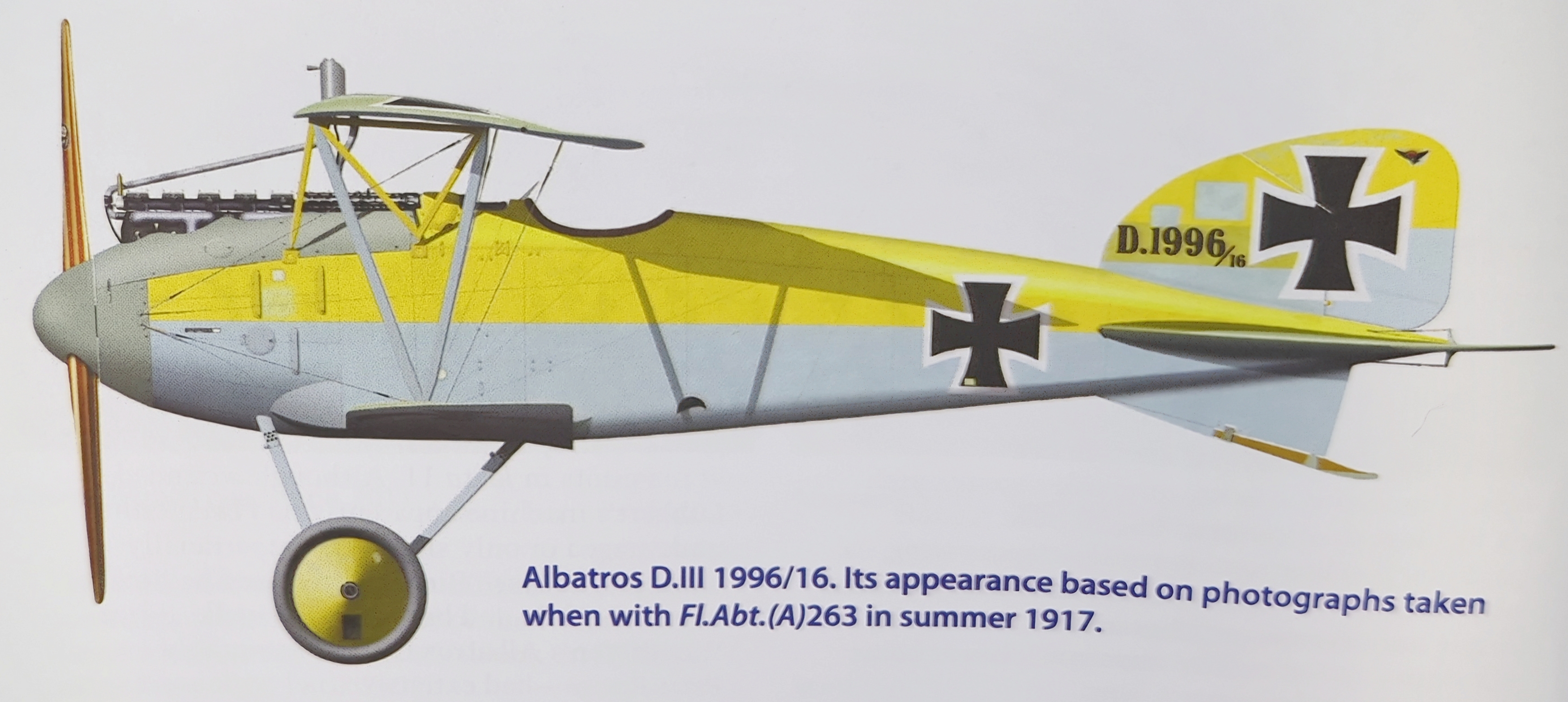 Albatros D.III