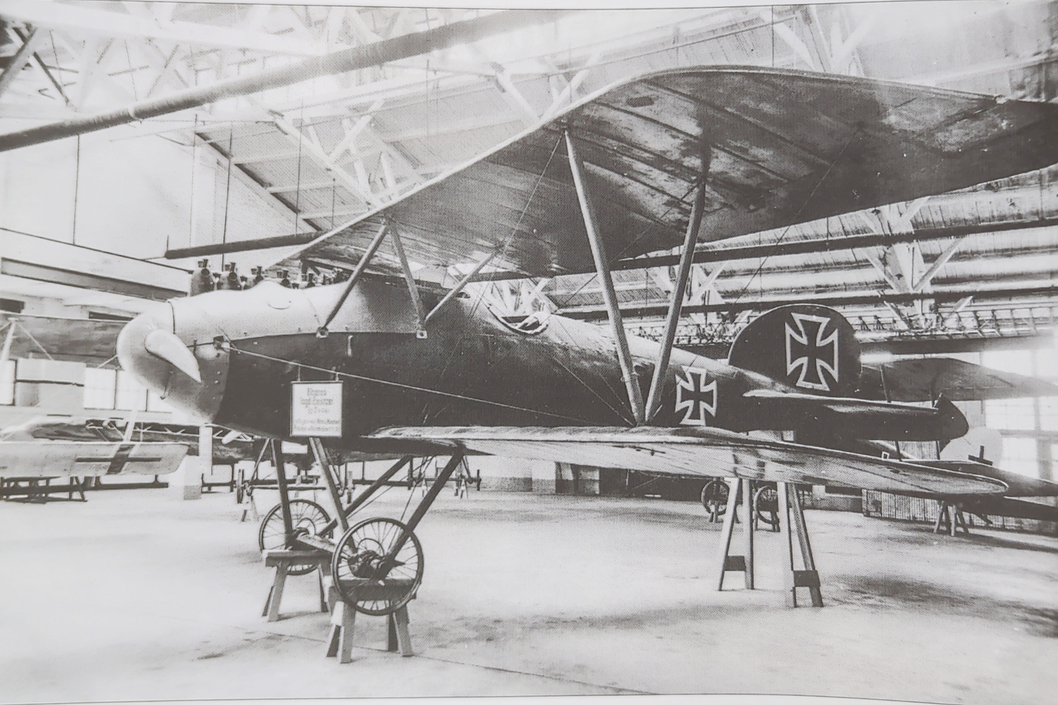 Albatros D.V