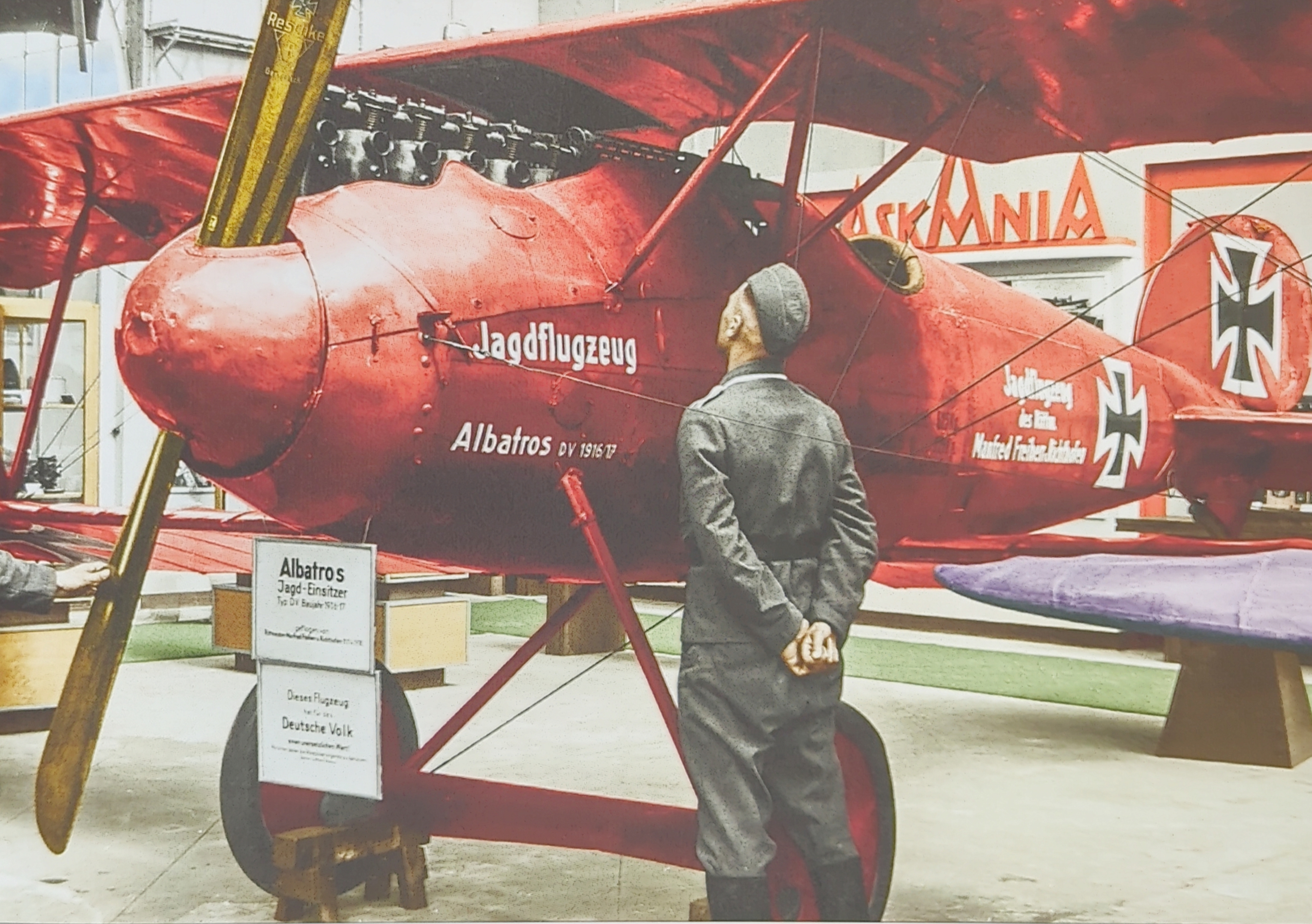 Albatros D.V