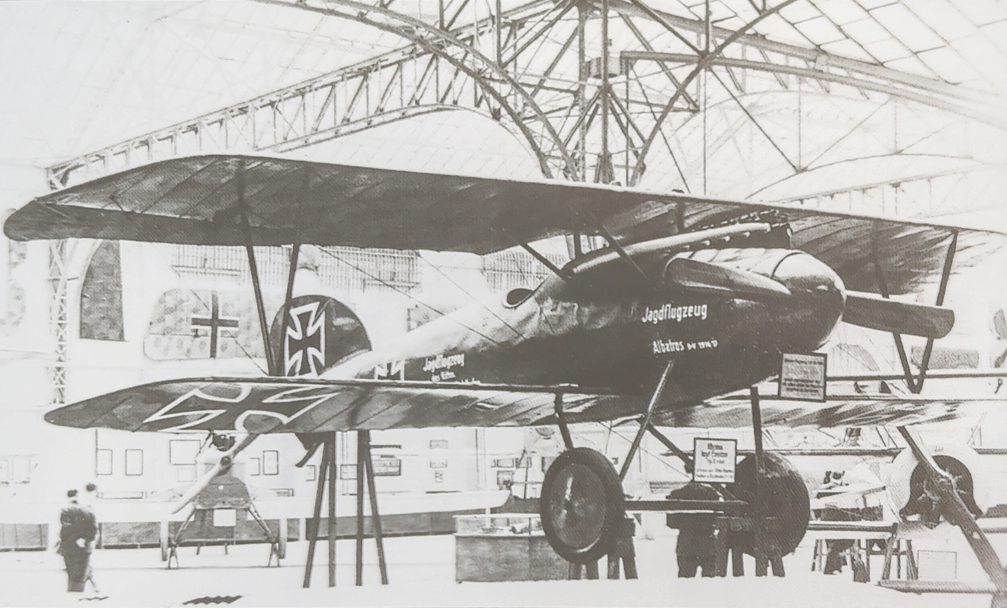 Albatros D.V