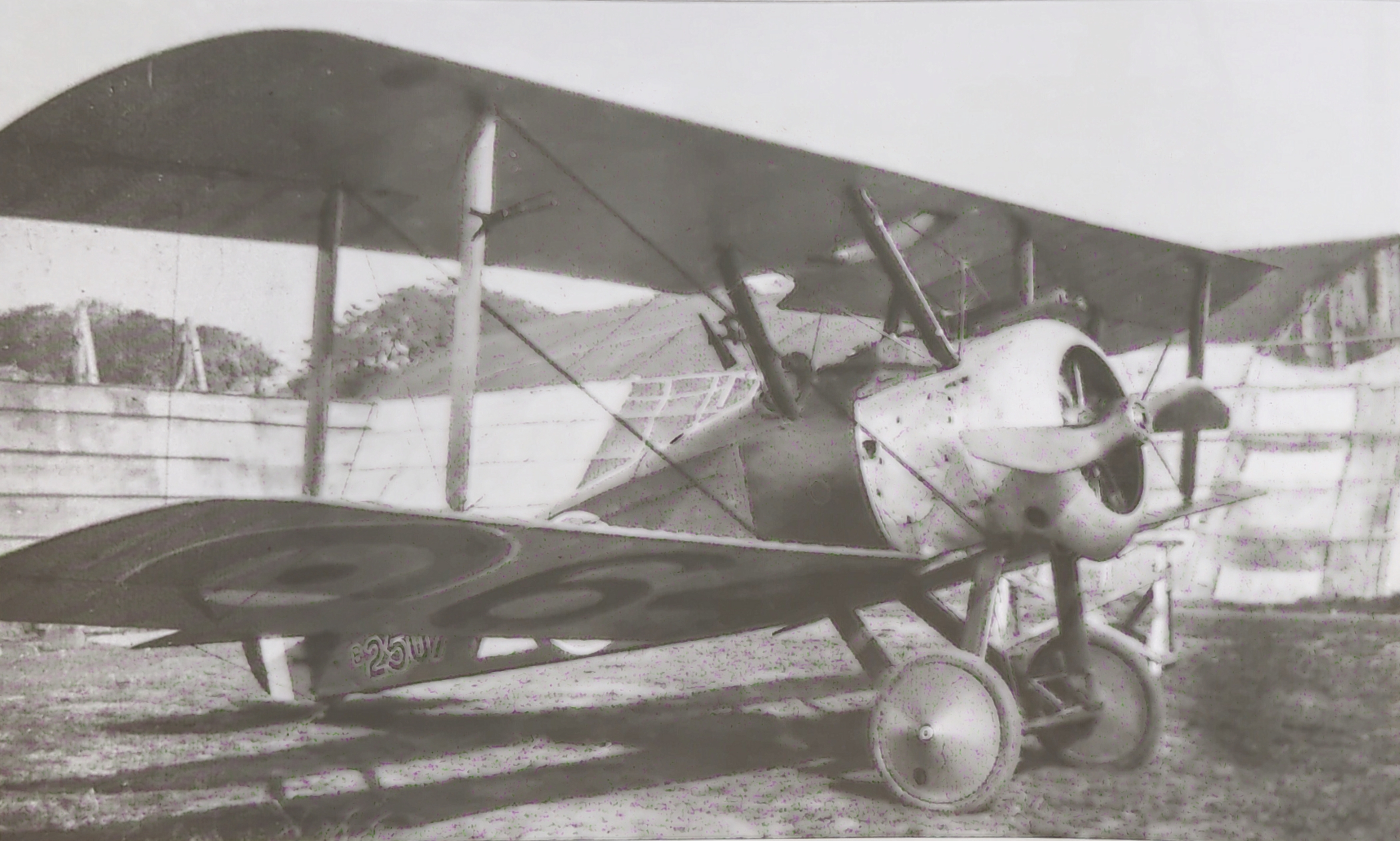 Sopwith F.1 Camel