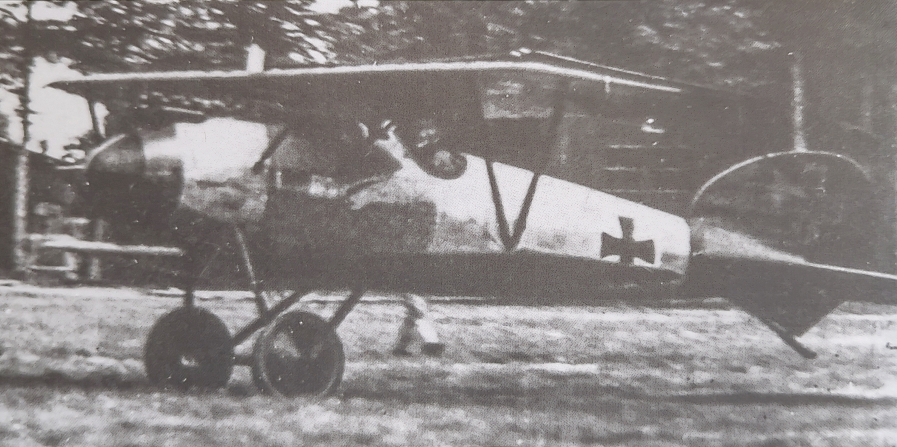 Albatros D.V