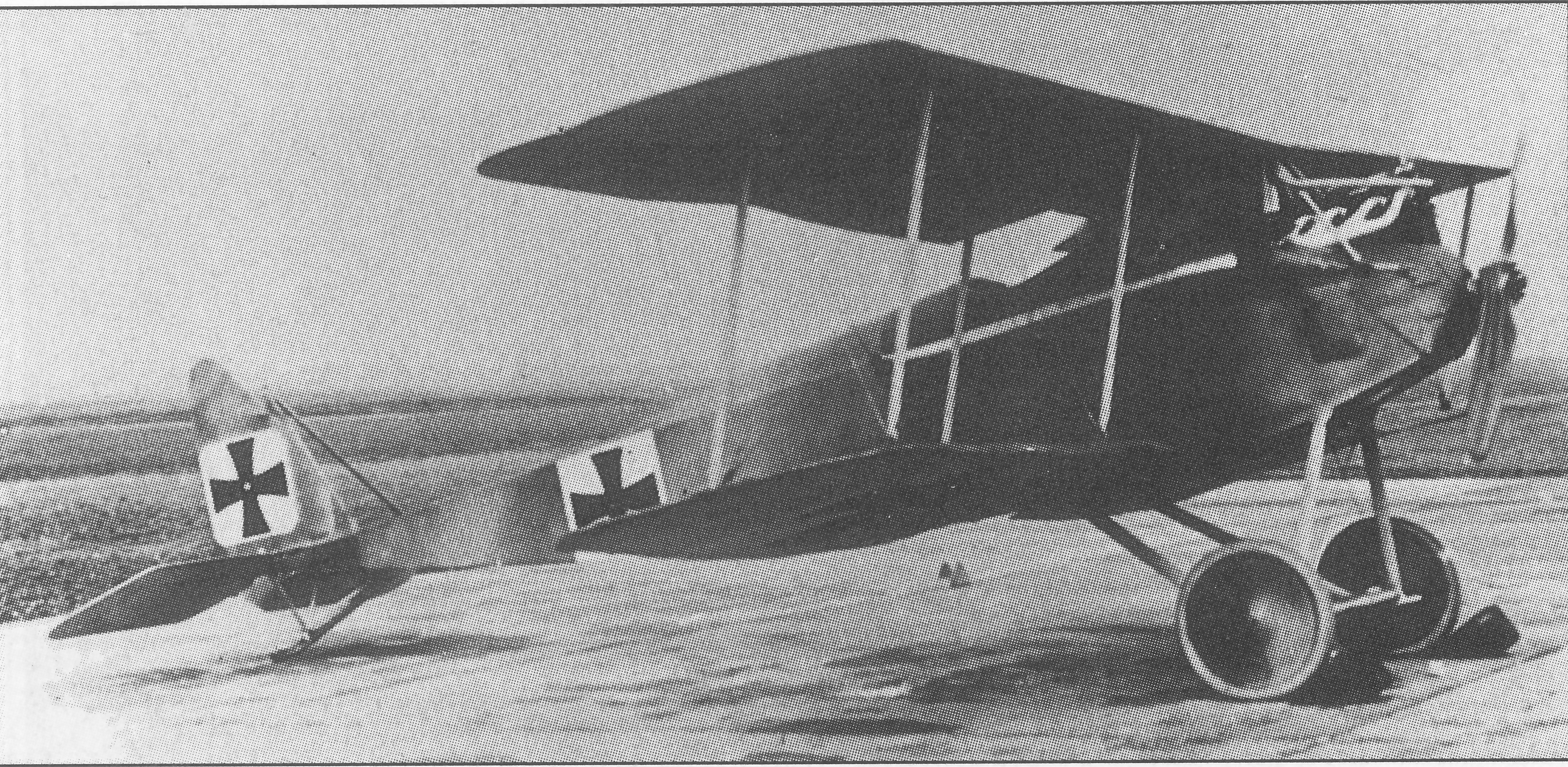 Halberstadt D.II