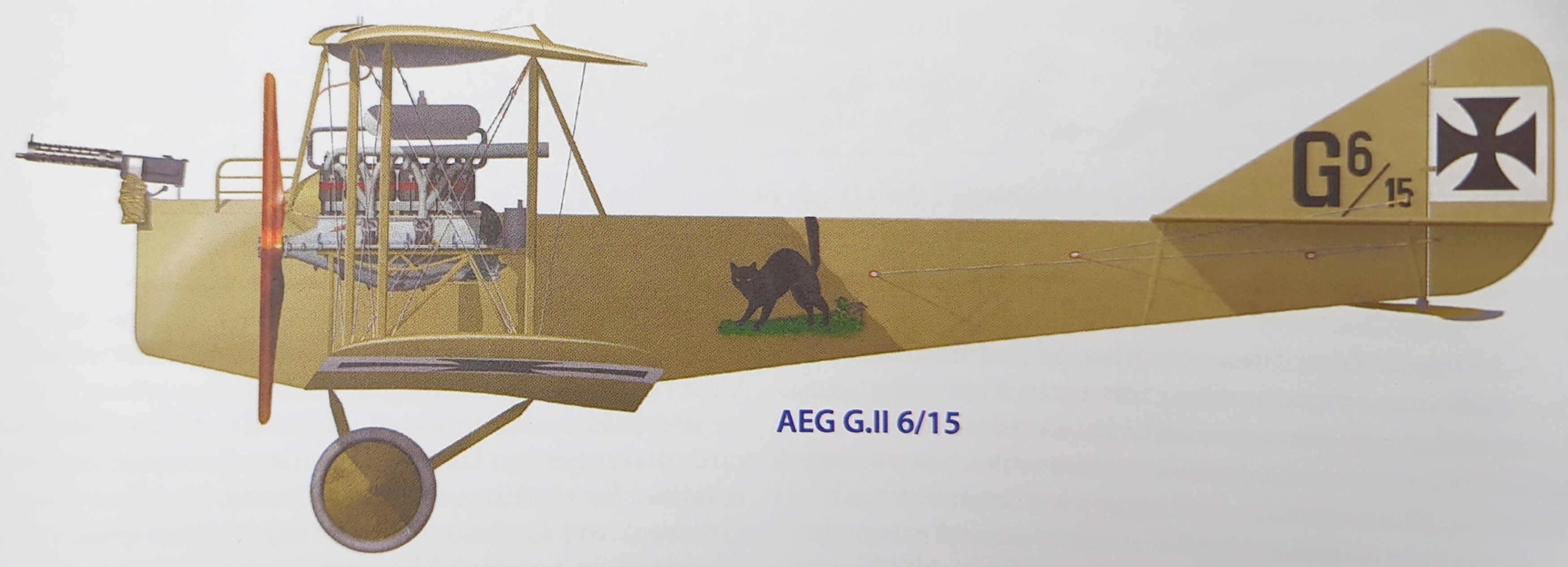 AEG G.II