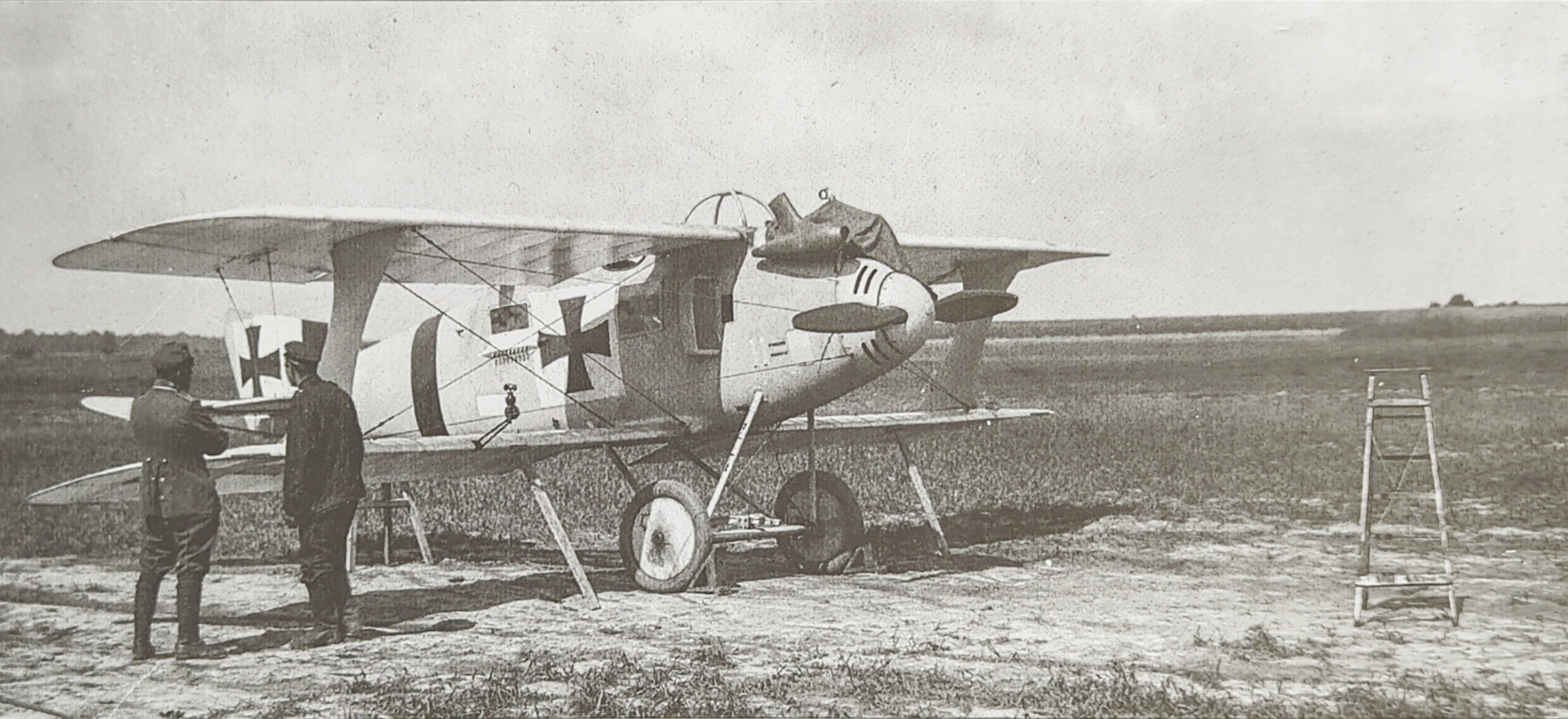 Roland C.II - Walfisch