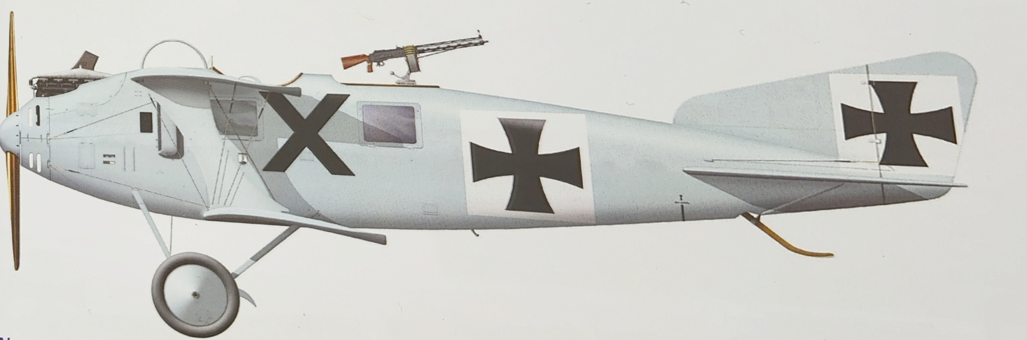 Roland C.II - Walfisch