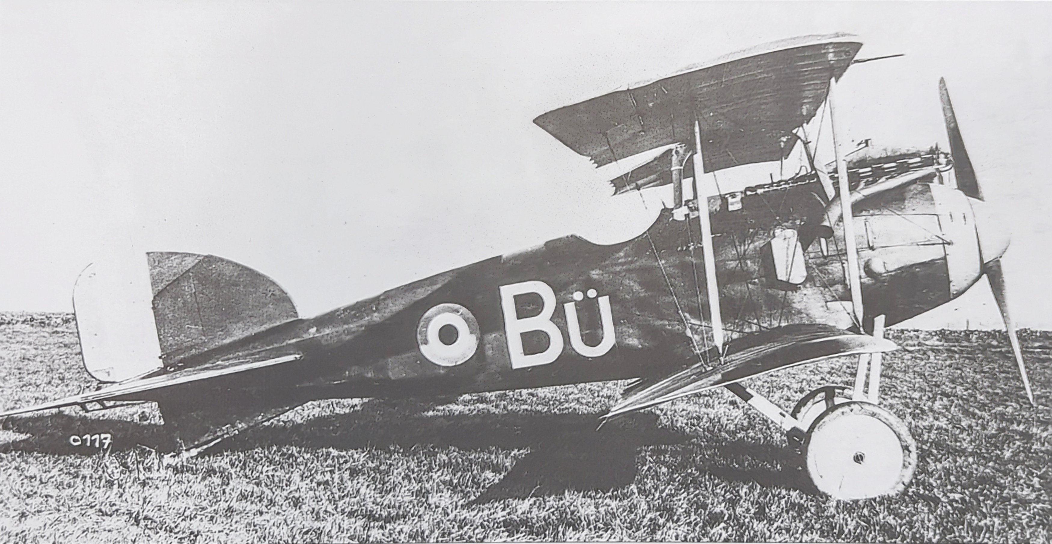 Albatros D.I