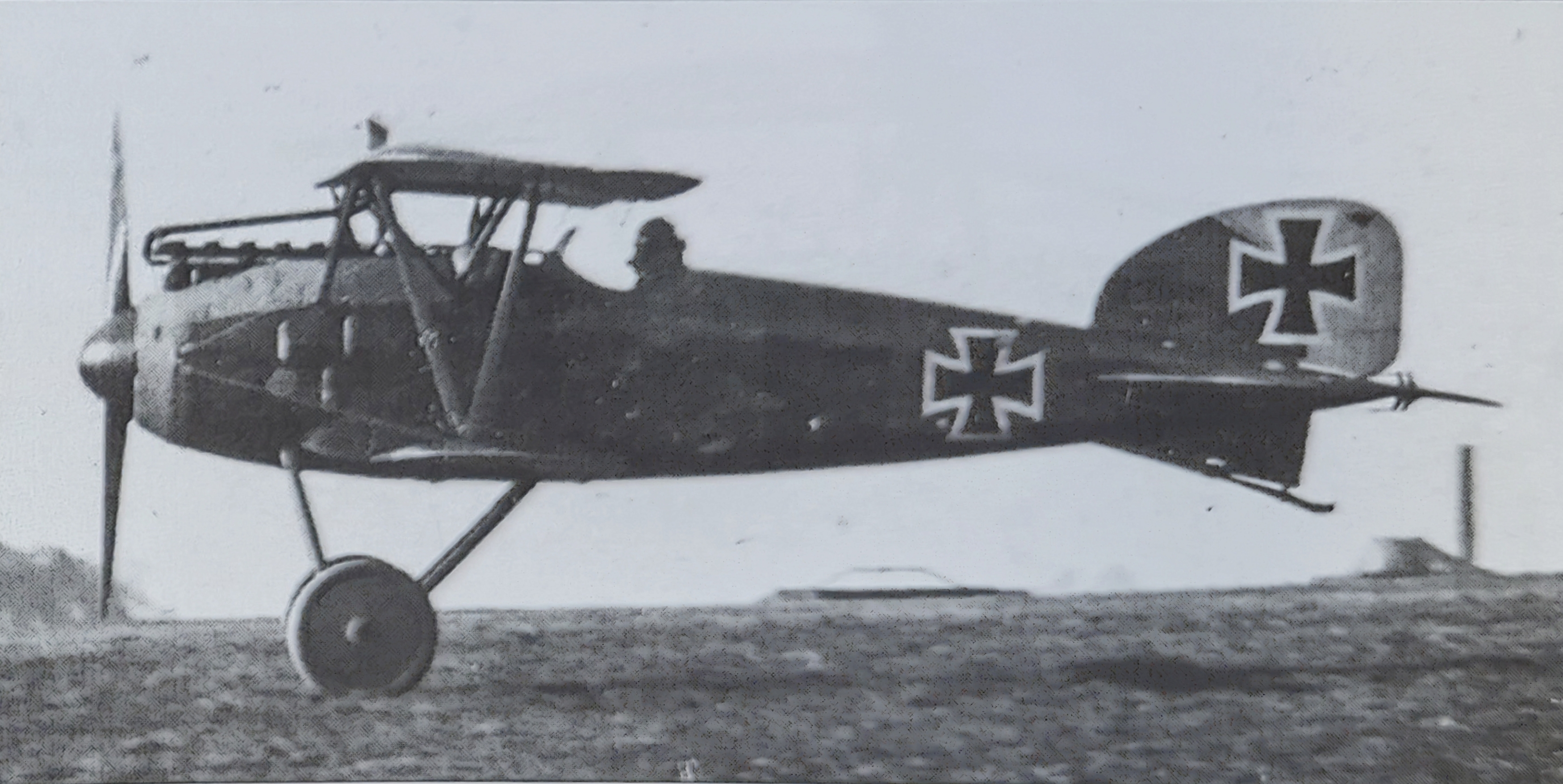 Albatros D.III