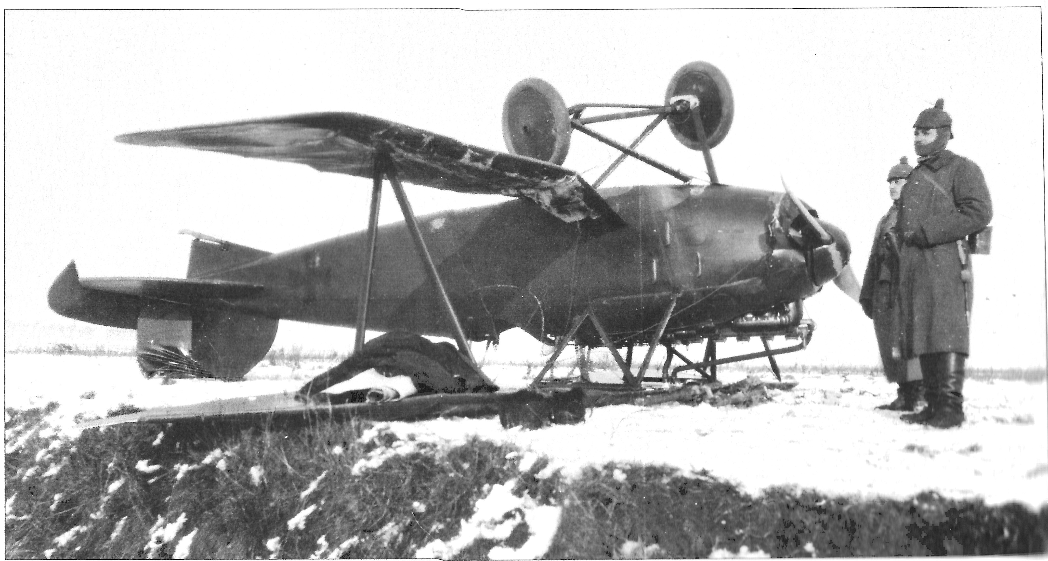 Albatros D.III